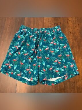Caribbean Teal Swim Shorts with Pink Flamingo Print